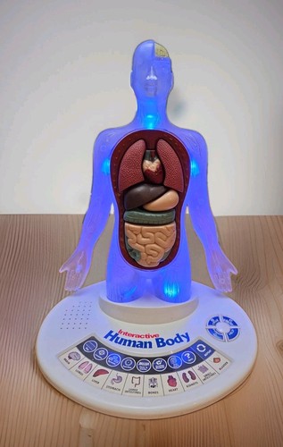 Scientific toys interactive - scientific,